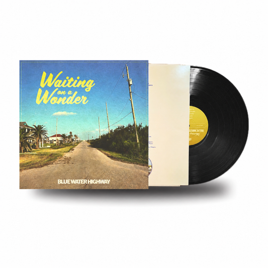Waiting on a Wonder Vinyl - Black Disc